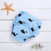 PR0013-ฟ้า-ลายวาฬ